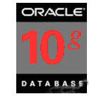 ORACLE 10g(��׼�� 10user 4CPU)