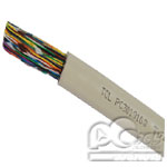 TCL ����100�Է�����˫�ʵ��� ��������/TCL