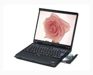 ThinkPad R50e 1834LC1图片