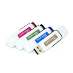 ��ʿ��DataTraveler(����)(2GB)