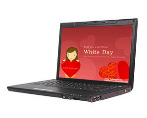 神舟优雅 HP800图片