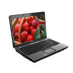 HP Compaq Presario V3808TU(KS399PA)