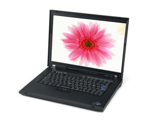 ThinkPad R61i 7650DVCͼƬ