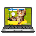 HP Compaq Presario CQ45-147TX(FW574PA)