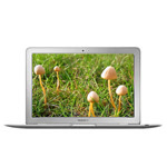 苹果MacBook Air(MB543CH/A)