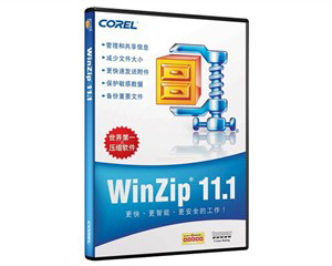 WinZip 11.1 רҵ(500-999/)ͼƬ
