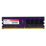 威刚1GB DDR2 667(万紫千红)