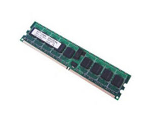 Ӣ1GB DDR2 667 ECC REG()ͼƬ