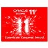 ORACLE 11g 标准版1