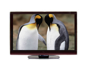 TCL L32P10FBEG