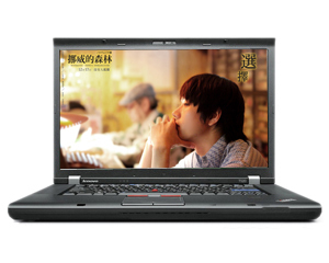 ThinkPad X220 42902XC