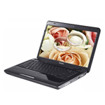 ��֥C600-T61B(������)