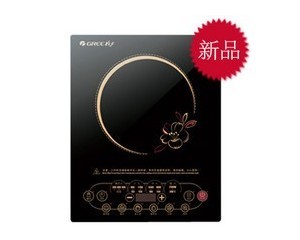 GC-21XSE
