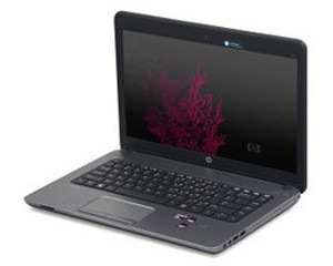 ProBook 445 G1(E1Q40PA)