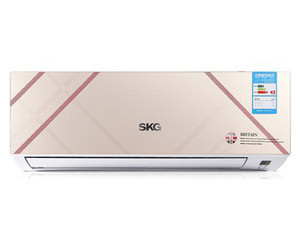 SKG KFRd-25GW/5219