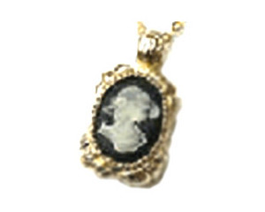 PNY Bling attache CA0082GBͼƬ