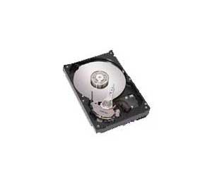 ϣ��300GB/15K/SAS(ST3300655SS)ͼƬ