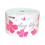 蝹����� CD-R 16��(50Ƭװ)