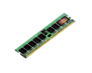 创见1GB DDR2 667(服务器)
