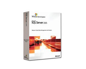 Microsoft SQL Server 2005 Ĺ(10)