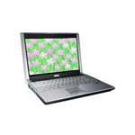 TYPE C6017 ʼǱ/