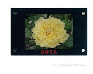 BOYA 19���������BY-CDͼƬ