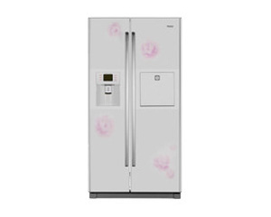 ����BCD-552WYJF