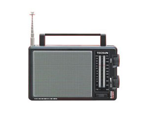 ����R-308ͼƬ