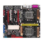��˶L1N64-SLI WS/B ����������/��˶