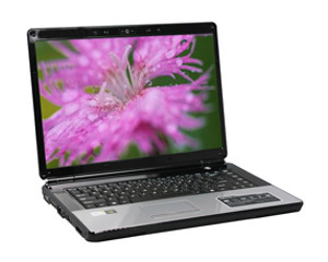  A550-P73D1