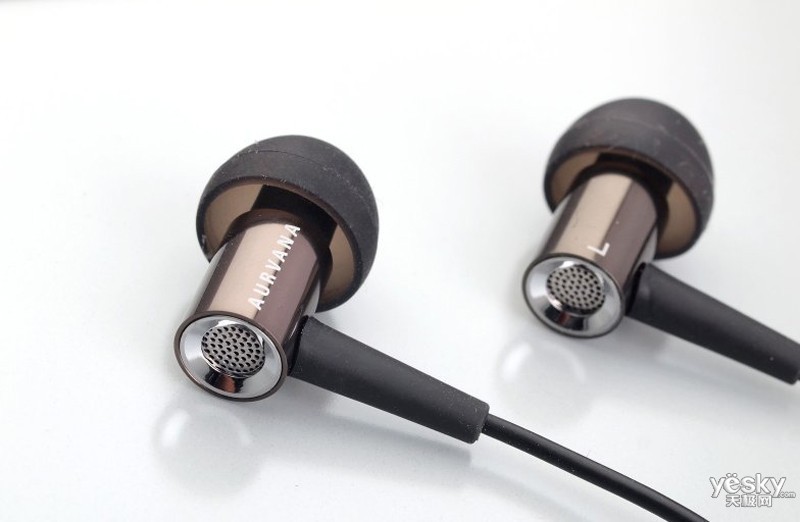 ����Aurvana In-Ear 2