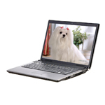 R310SG-T450AX