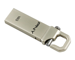 PNY (16GB)ͼƬ