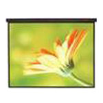 ��ά�ε綯Ļ(100Ӣ�� ҡ��) ͶӰ��Ļ/��ά��