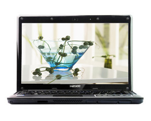 神舟优雅 A420-i3D2
