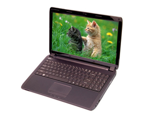 神舟精盾 K580P-i5D1