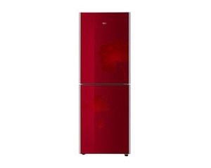 ����BCD-206TCX(ˮ����)