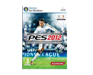PC��Ϸ ʵ������2012ͼƬ