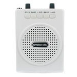 ʥ��SV-929����