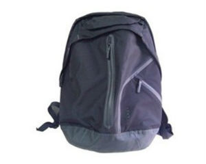 ������Dash Backpack 16��ʼǱ����԰�ͼƬ