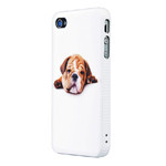 ����iPhone4/4s������ �������� ƻ�����/����