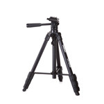 ����CX-999 ���ż� �������/����