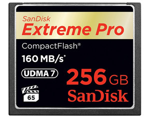 Extreme PRO CompactFlash 洢(256GB)