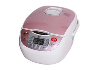 ����FS406