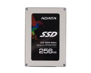 SP920SS(256GB)
