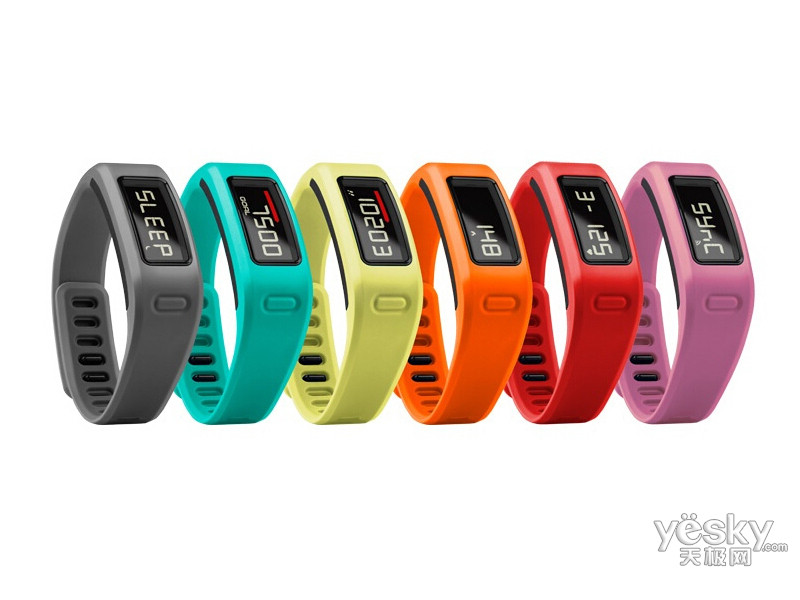 ���� Vivofit