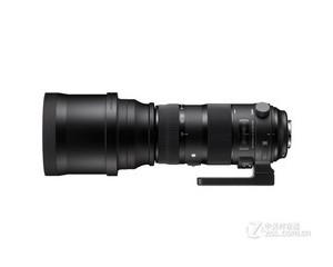 ����150-600mm f/5-6.3 DG OS HSM SportsͼƬ