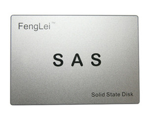 FengLei F9016ϵ SAS(480GB)