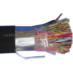 大唐保镖 DT2900-200(200对大对数) 光纤线缆/大唐保镖