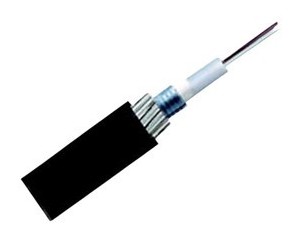 ���� ���ʽ��ǿ��װ����(GYTA53-48B1)ͼƬ
